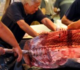 Tokyo | Japan :: Tsukiji Fish Market Highlights Tokyo | Japan :: Tsukiji Fish Market Highlights