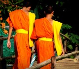 Chiang Mai | Thailand: Monk Chat
