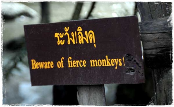 Erawan Waterfall - Monkey Sign Erawan Waterfall - Monkey Sign