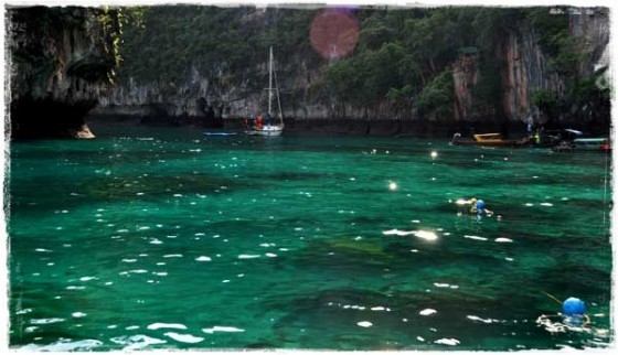 Phi Phi Lae Snorkeling
