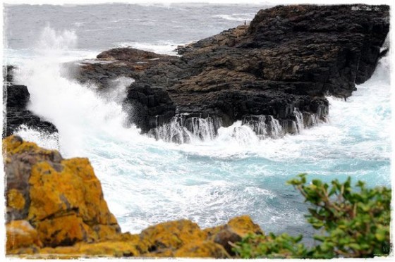 Kiama Coastline