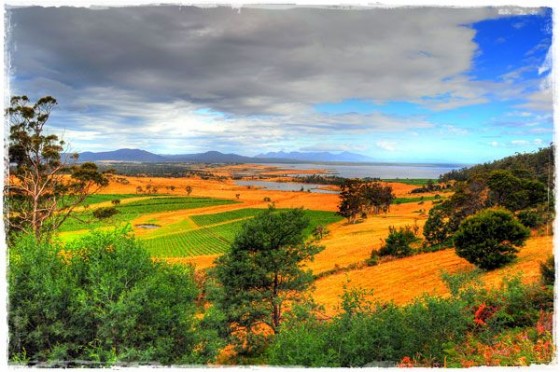 Farmland - Tasmania, Australia