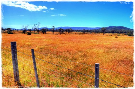 Farmland - Tasmania, Australia