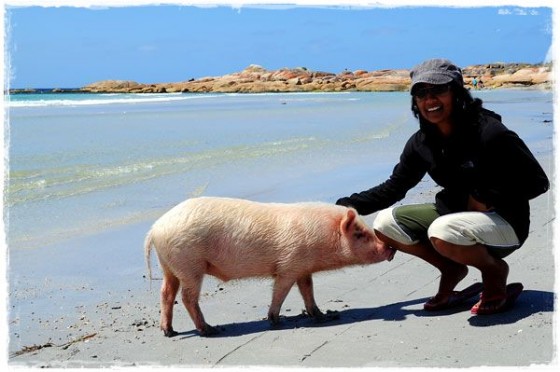 Manali and Pig - Tasmania, Australia
