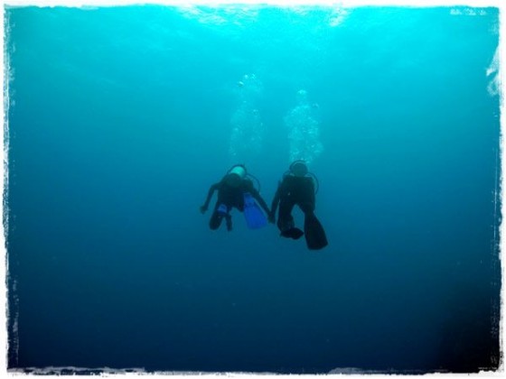 Manali and Terry Holding Hands - Great Barrier Reef