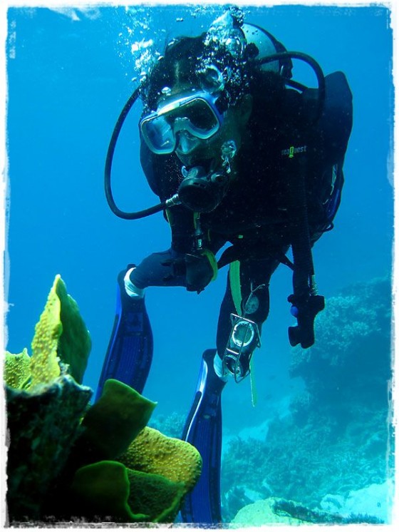 Manali Looking At Coral - Great Barrier Reef