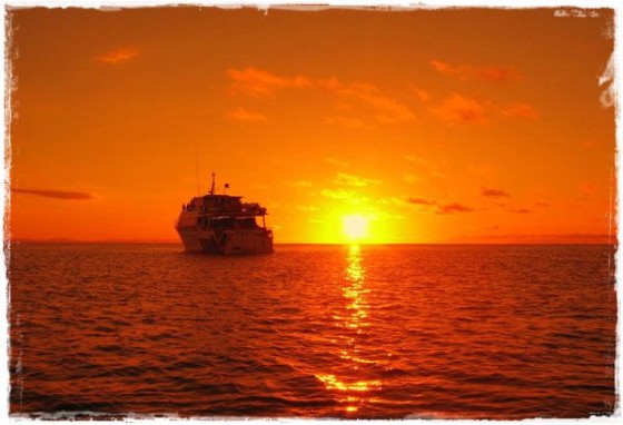 Scuba Pro Sunset - Pro Dive Live Aboard (Great Barrier Reef)