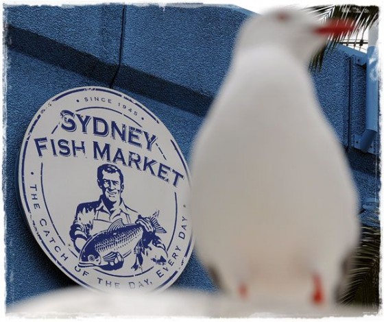 Sydney Fish Market