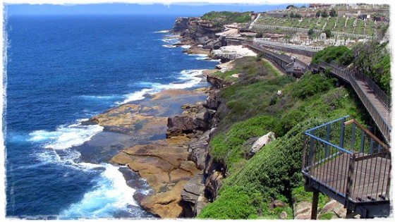 Bondi to Coogee Coastal Walk