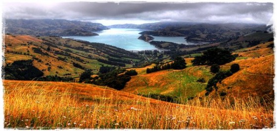 Banks Peninsula
