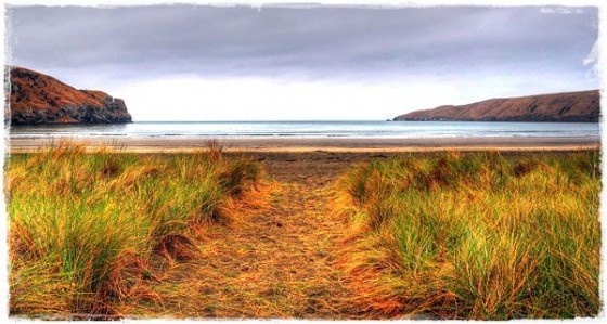 Okains Bays Beach - Banks Peninsula, New Zealand