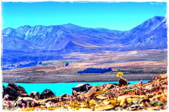Bright Blue Lake Tekapo Bright Blue Lake Tekapo