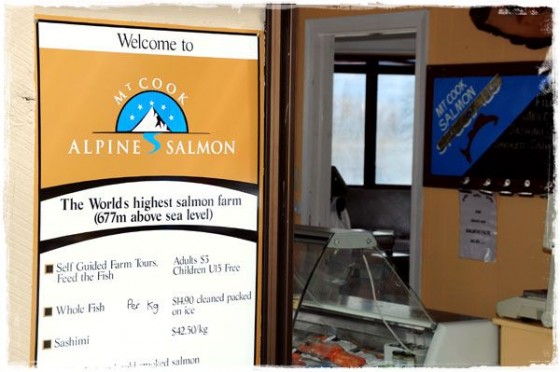 World's Highest Salmon Farm World's Highest Salmon Farm