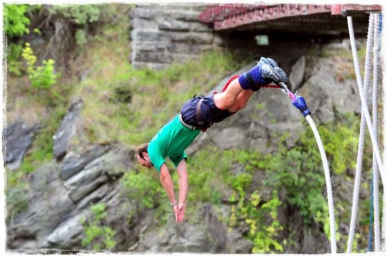 border terry jumping from bridge 560x372 Happy Birthday Terry! | Almost Over the Hill 