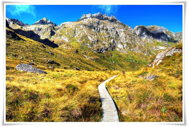 Our Ascent - Routeburn Track, New Zealand Queenstown | New Zealand :: Hiking The Routeburn Track