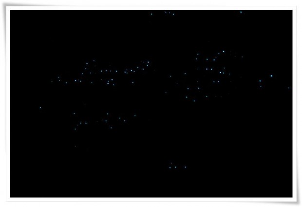 Glow Worms - Waitomo, New Zealand Waitomo | New Zealand :: Glowing Worms and Naked Rabbits