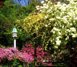 Road Less Travelled | The Primrose Path Road Less Travelled | The Primrose Path